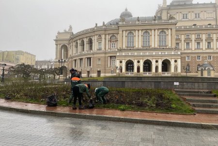 На Юго-Западном массиве озеленители высаживают клены, а на Мемориале 411-й батареи - жасмин (фото)