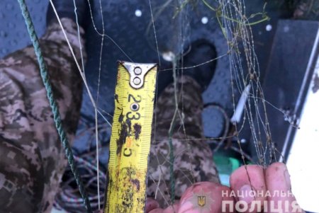 Полицейские выявили восемь браконьеров и более десятка реализаторов, которые незаконно торговали морепродуктами на одесских рынках (фото)