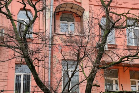 Прогулка по Преображенской — от Соборной площади до знаменитого Привоза (фоторепортаж)  