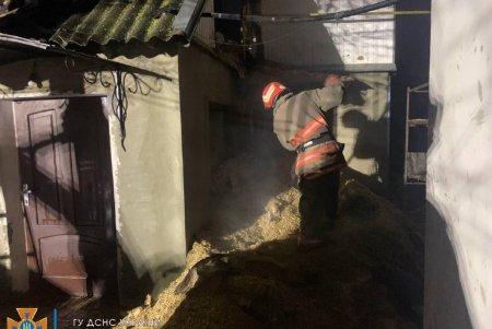 Под Одессой спасатели ликвидировали возгорание летней кухни (фото)