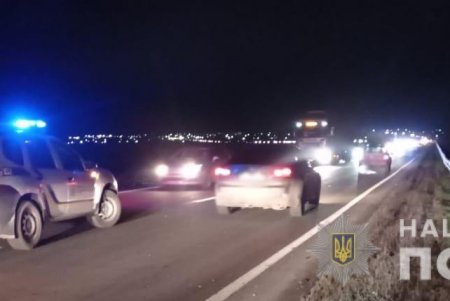 Lexus насмерть сбил пожилого пешехода на трассе Одесса – Мелитополь – Новоазовск (фото)