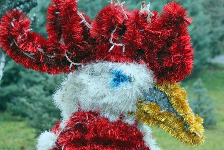 Главная площадь Одессы готовится к празднованию новогодних и рождественских праздников (фоторепортаж)