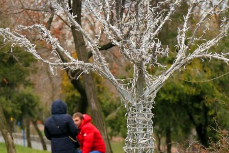 Главная площадь Одессы готовится к празднованию новогодних и рождественских праздников (фоторепортаж)