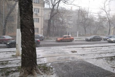 В Одессе начался первый нынешней зимой снегопад (фото, видео)