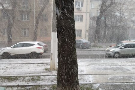 В Одессе начался первый нынешней зимой снегопад (фото, видео)