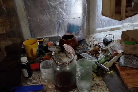 В Суворовском районе двух маленьких девочек изъяли из семьи, которая живет в антисанитарных условиях (фото)