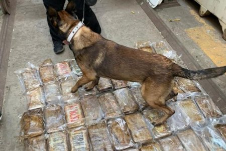 Организатора и двух членов международной преступной группировки арестовали за контрабанду кокаина из Эквадора (фото)