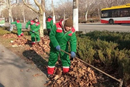 Более 230 комплектов теплой униформы приобретено для работы одесских озеленителей в холода  (фото)