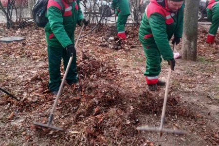 Более 230 комплектов теплой униформы приобретено для работы одесских озеленителей в холода  (фото)