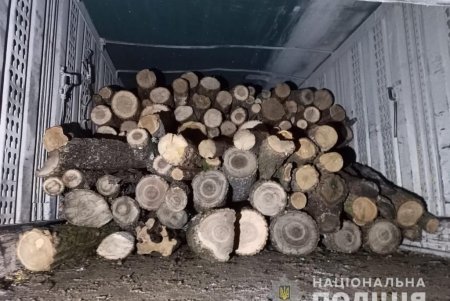 Подольские полицейские выявили четверых «черных лесорубов» (фото)