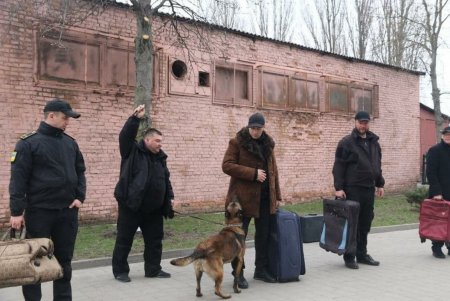 Служебные собаки Одесской таможни 50 раз за год участвовали в проверках и находили наркотики, оружие, сигареты в тайниках котрабандистов (фото)