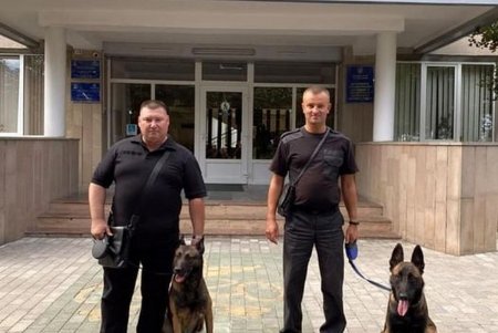 Служебные собаки Одесской таможни 50 раз за год участвовали в проверках и находили наркотики, оружие, сигареты в тайниках котрабандистов (фото)