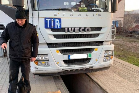 Служебные собаки Одесской таможни 50 раз за год участвовали в проверках и находили наркотики, оружие, сигареты в тайниках котрабандистов (фото)