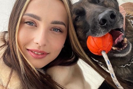 Служебные собаки Одесской таможни 50 раз за год участвовали в проверках и находили наркотики, оружие, сигареты в тайниках котрабандистов (фото)