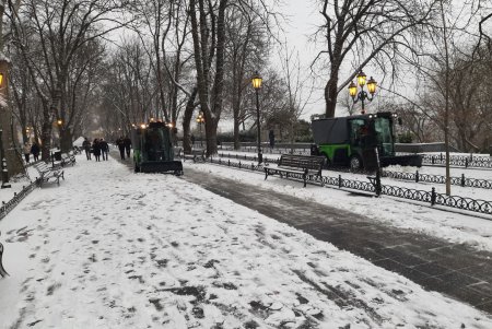 На Думской площади представили новую технику для уборки снега на тротуарах, в парках и скверах (фото, видео)