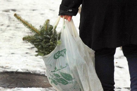 На одесских улицах вовсю витает атмосфера праздника: началась продажа главного атрибута новогодних праздников (фоторепортаж)