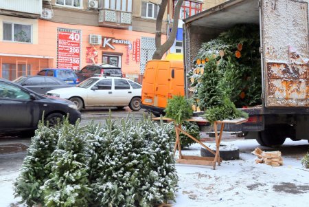 На одесских улицах вовсю витает атмосфера праздника: началась продажа главного атрибута новогодних праздников (фоторепортаж)
