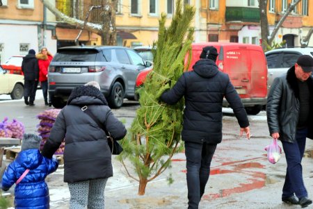 На одесских улицах вовсю витает атмосфера праздника: началась продажа главного атрибута новогодних праздников (фоторепортаж)