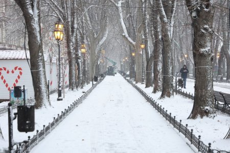 В Одессе презентовали новую спецтехнику для уборки тротуаров (фоторепортаж)