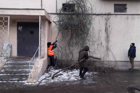 Сотрудники ЖКС «Хмельницкий» ликвидировали стихийную свалку на улице Крайней (фото)