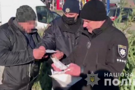 Стражи порядка проверяют законность торговли новогодними елками (фото, видео)