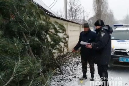 Стражи порядка проверяют законность торговли новогодними елками (фото, видео)