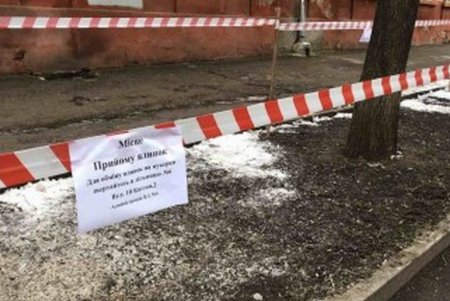 В Одессе с 1 января заработают площадки по сбору новогодних елок (фото)