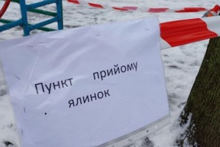 В Одессе с 1 января заработают площадки по сбору новогодних елок (фото)