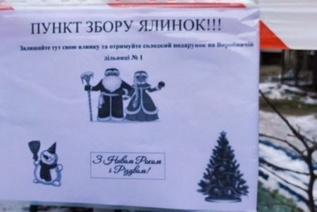 В Одессе с 1 января заработают площадки по сбору новогодних елок (фото)
