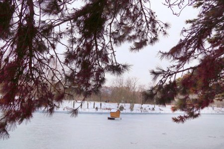 Тихое очарование зимней сказки в парке Победы (фоторепортаж)  