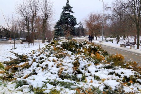 Тихое очарование зимней сказки в парке Победы (фоторепортаж)  