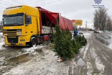 Патрульные проверяют законность сбыта хвойных деревьев: уже оформлено 24 админпротокола (фото)