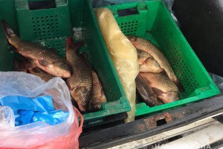 Полицейские Одесской области привлекли к ответственности двух браконьеров и четырех продавцов рыбы (фото)