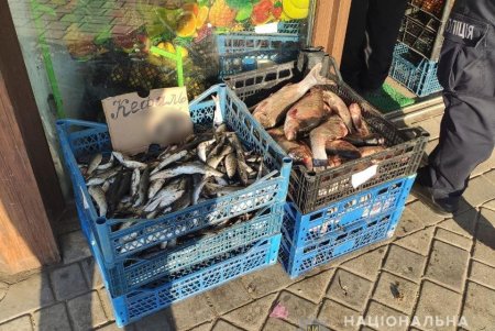 Полицейские Одесской области привлекли к ответственности двух браконьеров и четырех продавцов рыбы (фото)