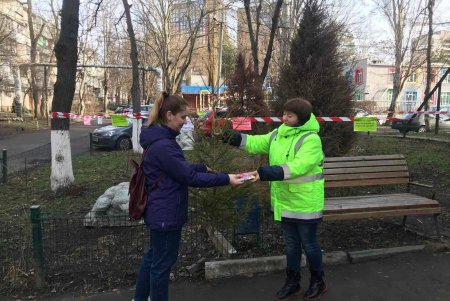 Желающих обменять новогодние елки на сладости становится больше (фото)