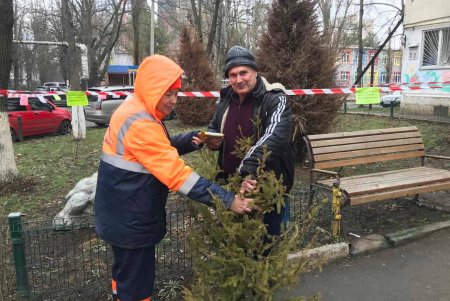 Желающих обменять новогодние елки на сладости становится больше (фото)