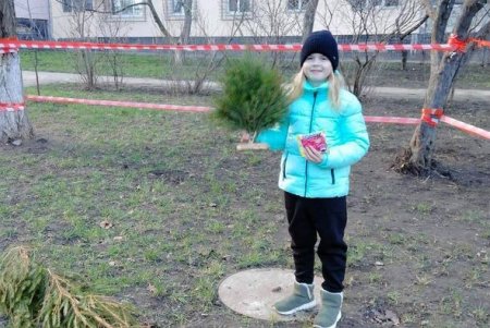 Желающих обменять новогодние елки на сладости становится больше (фото)