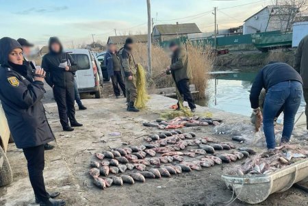 Шестерых браконьеров и нарушителей торговли морепродуктами обнаружили за сутки в регионе: двое из них «нарыбачили» на полтора миллиона гривен