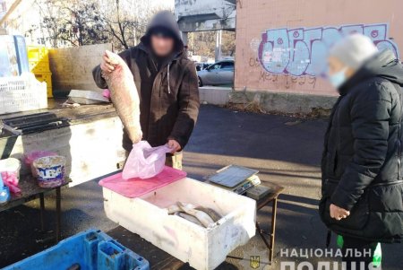 Шестерых браконьеров и нарушителей торговли морепродуктами обнаружили за сутки в регионе: двое из них «нарыбачили» на полтора миллиона гривен