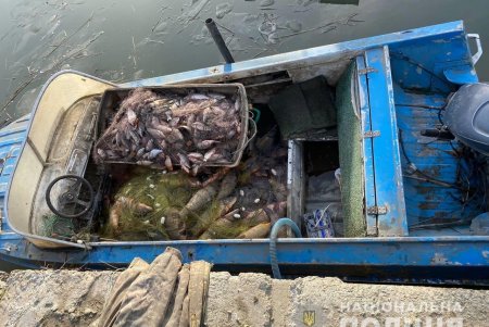 Шестерых браконьеров и нарушителей торговли морепродуктами обнаружили за сутки в регионе: двое из них «нарыбачили» на полтора миллиона гривен