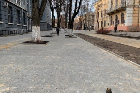 В Приморском и Малиновском районах ремонтируют тротуары и внутридомовые территории (фоторепортаж)