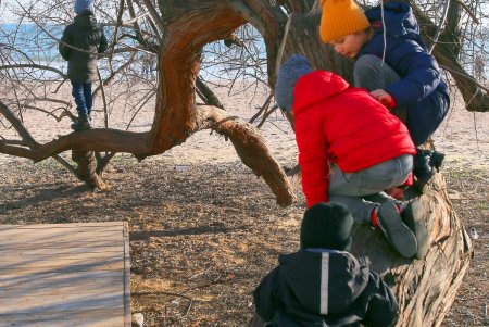 Прогулка по пляжу Лузановка: одесситы наслаждаются теплыми днями (фоторепортаж)