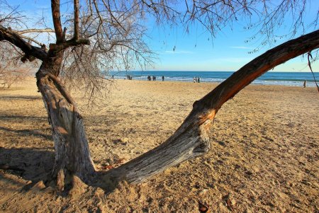 Прогулка по пляжу Лузановка: одесситы наслаждаются теплыми днями (фоторепортаж)