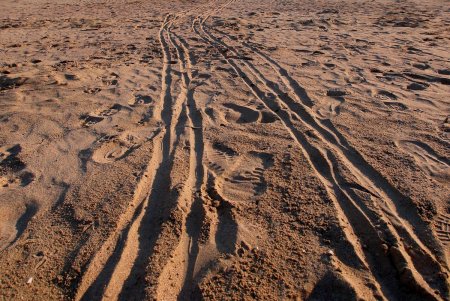 Прогулка по пляжу Лузановка: одесситы наслаждаются теплыми днями (фоторепортаж)