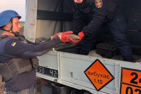Под Одессой нашли два артснаряда и авиабомбу времен Второй мировой (фото) 
