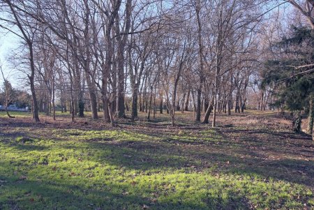 Дюковский парк в ожидании обновления (фоторепортаж)