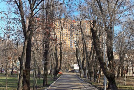 Дюковский парк в ожидании обновления (фоторепортаж)