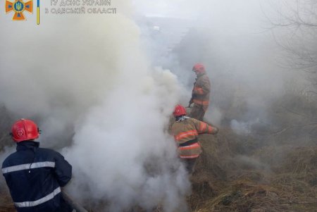 В Одесской области от возгорания спасли жилой дом (фото)