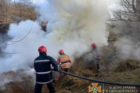 В Одесской области от возгорания спасли жилой дом (фото)