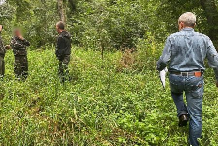 Незаконно рубил лес на продажу: в Одесской области будут судить лесничего (фото)
